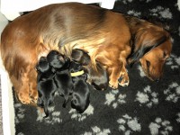 /album/fotogalleri-aktuelle-kull/img-2832-jpg/