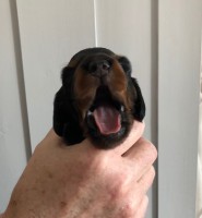 /album/fotogalleri-aktuelle-kull/hanne00-jpg/