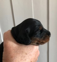 /album/fotogalleri-aktuelle-kull/tispe02-jpg/