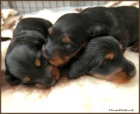 /album/fotogalleri-aktuelle-kull/img-3112-jpg/