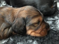 /album/fotogalleri-aktuelle-kull/img-3066-jpg/