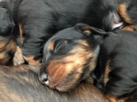 /album/fotogalleri-aktuelle-kull/img-3067-jpg/