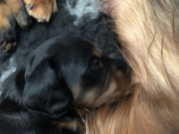 /album/fotogalleri-aktuelle-kull/img-3068-jpg/