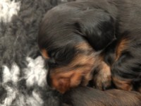 /album/fotogalleri-aktuelle-kull/img-3069-jpg/