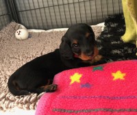 /album/fotogalleri-aktuelle-kull/img-3306-jpg/