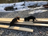 /album/fotogalleri-aktuelle-kull/img-3695-jpg/