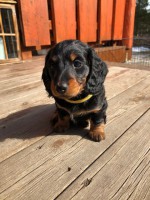 /album/fotogalleri-aktuelle-kull/img-3733-jpg/