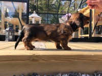 /album/fotogalleri-aktuelle-kull/img-3812-jpg/