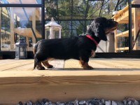 /album/fotogalleri-aktuelle-kull/img-3826-jpg/