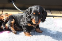 /album/fotogalleri-aktuelle-kull/img-9782-jpg/