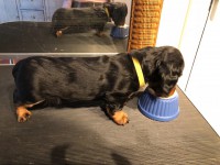 /album/fotogalleri-aktuelle-kull/img-3752-jpg/