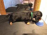 /album/fotogalleri-aktuelle-kull/img-3757-jpg/