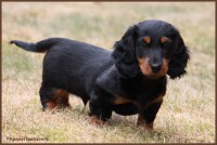 /album/fotogalleri-aktuelle-kull/a1img-1593a-jpg/