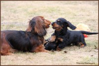 /album/fotogalleri-aktuelle-kull/a1img-1836a-jpg/