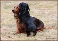 /album/fotogalleri-aktuelle-kull/a1img-1853a-jpg/