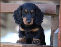 /album/fotogalleri-aktuelle-kull/a1snow-jpg/